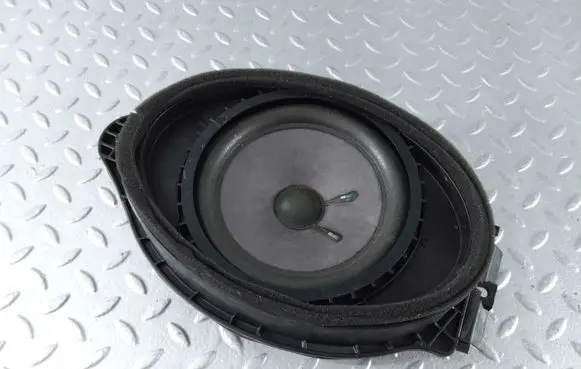 Front door speaker