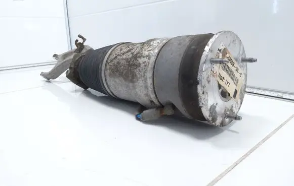 Tesla Model S Front air suspension shock absorber 103060800C