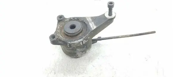 Mercedes-Benz E W124 Generator/alternator belt tensioner 1022022840