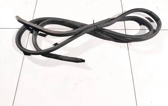 Renault Trafic II (X83) Rubber seal front coupe door 