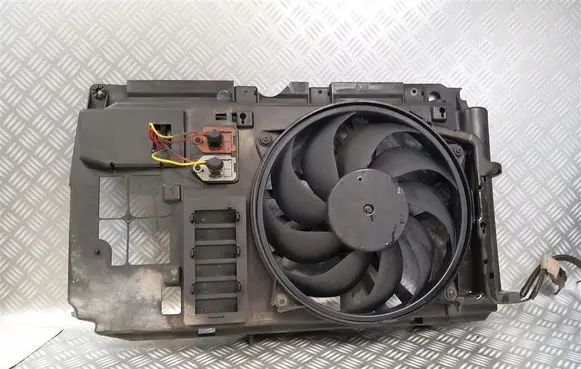 Citroen Xsara Electric radiator cooling fan 9643520680