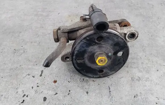 Hyundai Trajet Power steering pump 