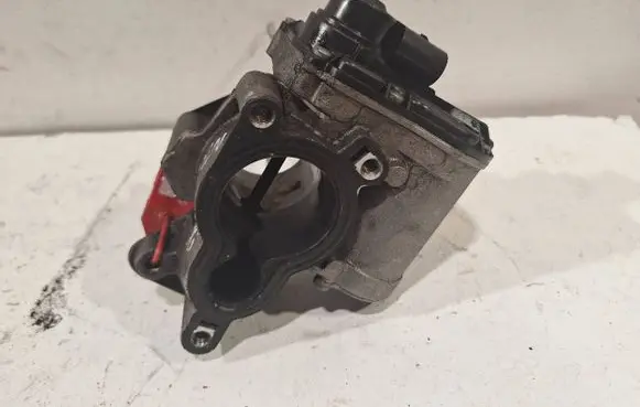 Renault Trafic II (X83) EGR valve H8200327011