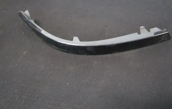 Rear/tail light trim molding