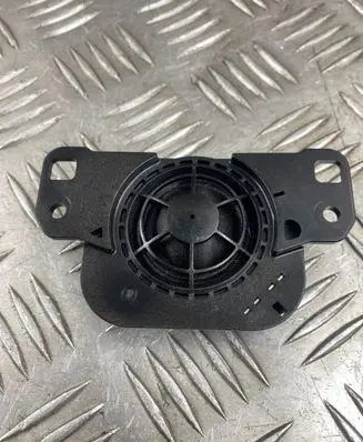 Panel speaker
