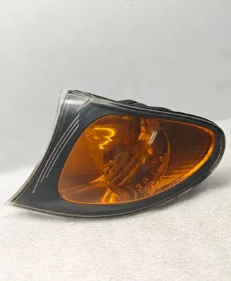 BMW 3 E46 Front indicator light 6910979