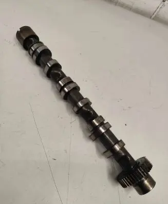 Volkswagen Touareg I Camshaft 14365