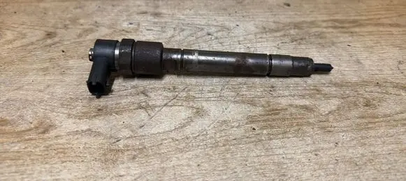 Volvo V70 Fuel injector 0445110251