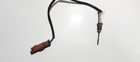 Exhaust gas temperature sensor