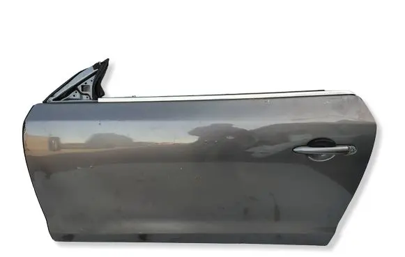 Renault Laguna III Front door 
