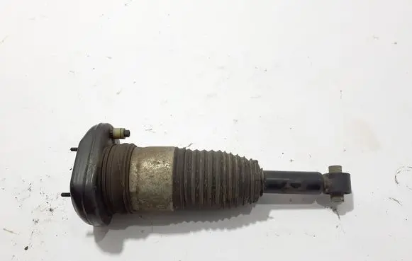 BMW 5 G30 G31 G38 Rear shock absorber/damper 6897853