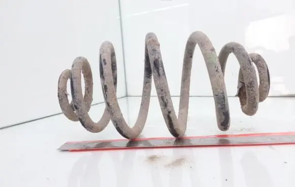 Volkswagen PASSAT B5 Rear coil spring
