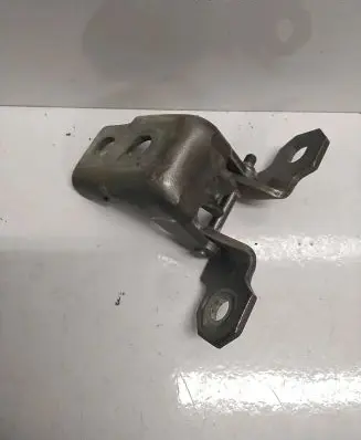 Rear door lower hinge