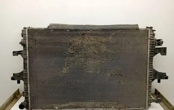 Volkswagen Multivan T5 Coolant radiator 7E0422848