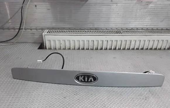 Trunk door license plate light bar