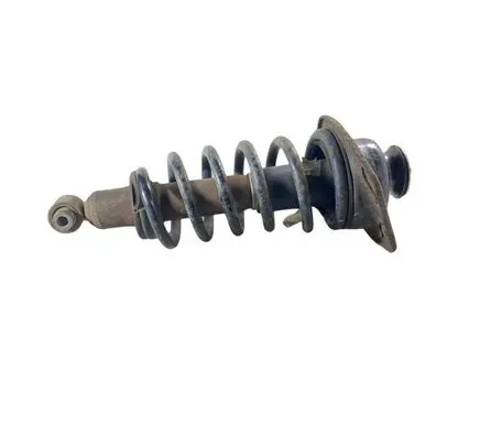 Chevrolet Camaro Rear shock absorber with coil spring 20953581
