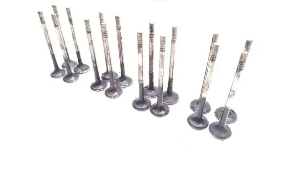 Seat Leon (1P) Valve 16PCS ENGINECAYC