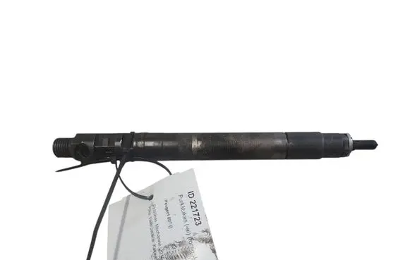 Peugeot 807 Fuel injector 9686891080 EMBR00101D
