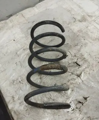 Rear coil spring