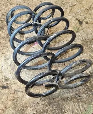 Rear coil spring