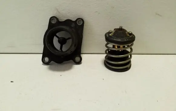 Thermostat/thermostat housing