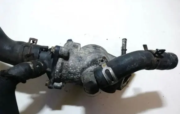 Citroen Berlingo Engine coolant pipe/hose 9624839210