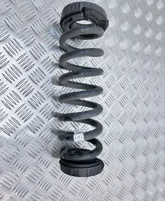 Rear coil spring