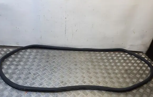 BMW 7 F01 F02 F03 F04 Rear door rubber seal (on body) 7179131