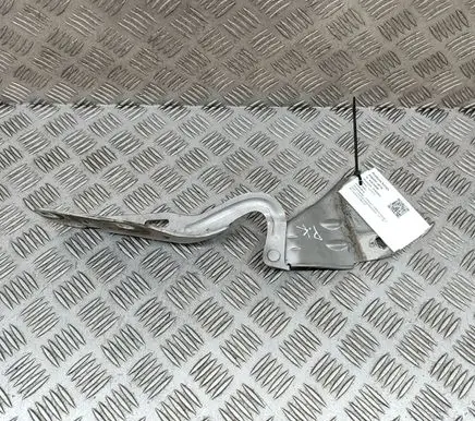 Renault Twingo II Engine bonnet/hood hinges 8200343122