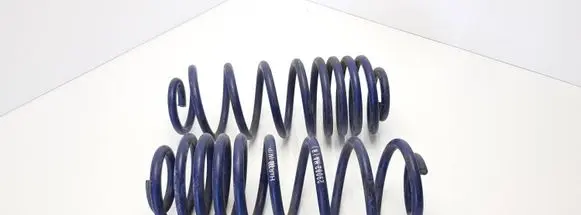 Skoda Roomster (5J) Rear coil spring 29082HA