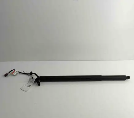 Tailgate/trunk strut/damper