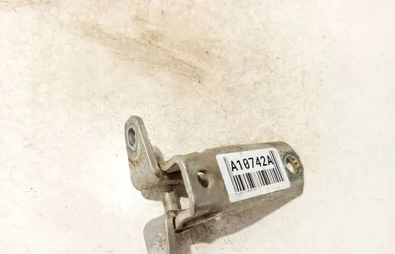 Rear door lower hinge