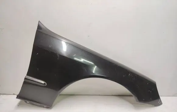 Mercedes-Benz S W220 Fender