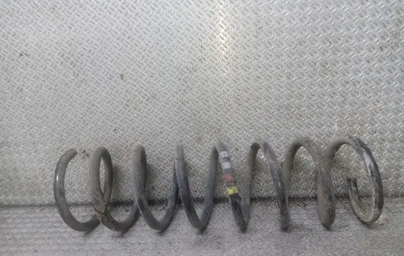 Ford Focus Rear coil spring