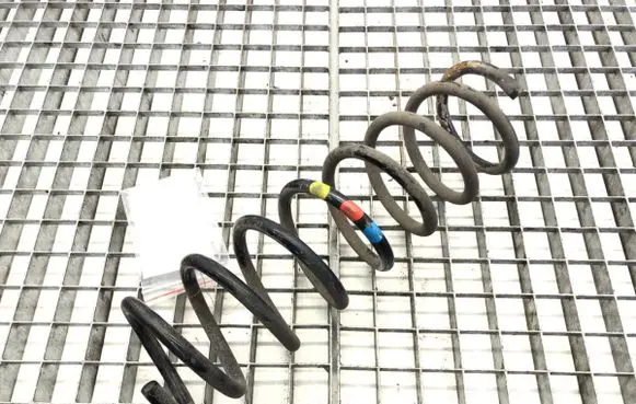 Rear coil spring