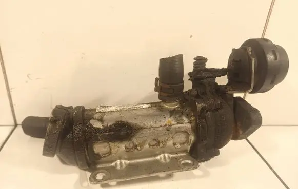 Renault Trafic II (X83) EGR valve cooler 8200611709 980255X 880255X