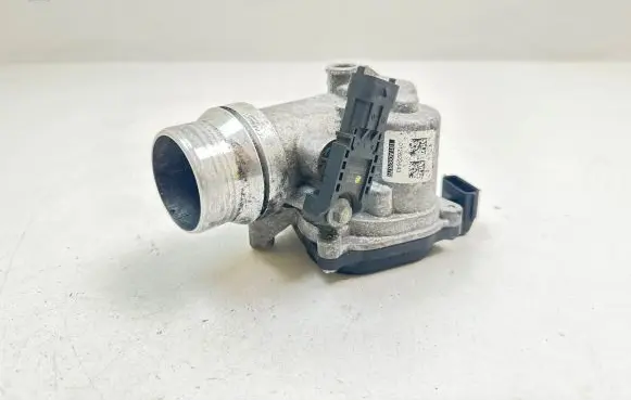 Nissan Qashqai Throttle valve 161A09287R 012622643
