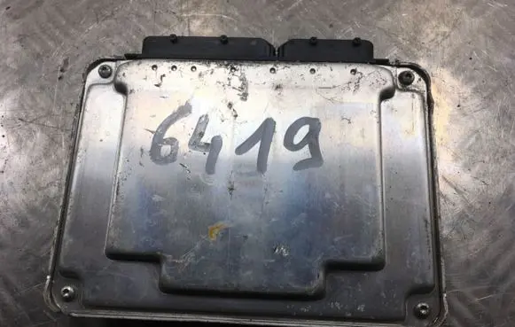 Volkswagen Golf IV Door control unit/module 038906019 0281011195 1039S01971
