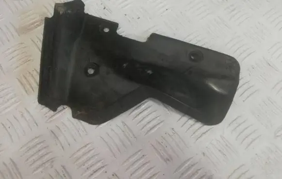 Renault Kangoo II Front mudguard 8200617877 200483