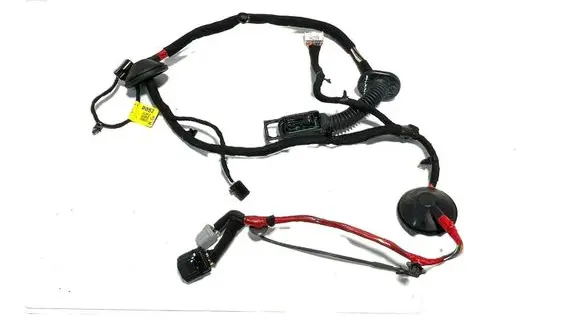 KIA EV6 Rear door wiring loom 91630CV520A 36969