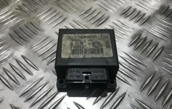 Peugeot 406 Other control units/modules 652905z 69220001i