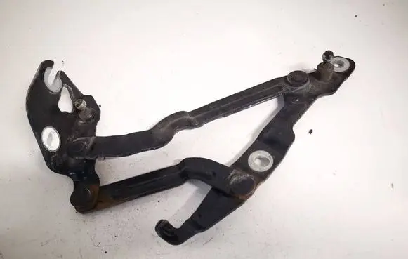 Tailgate/trunk/boot hinge
