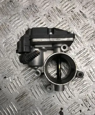 Volkswagen Golf VI Throttle valve
