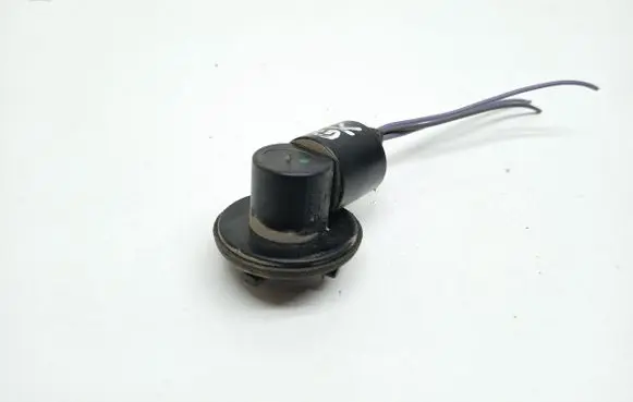 Renault Scenic I Tail light bulb cover holder