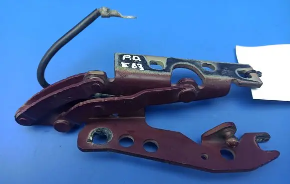 BMW 6 E63 E64 Engine bonnet/hood hinges 7064160