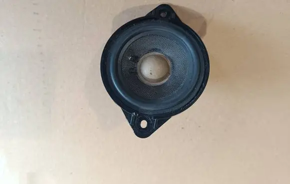 Panel speaker