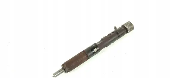Renault Kangoo I Fuel injector EJBR05102D