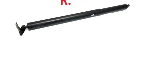 Tailgate/trunk strut/damper