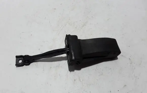 Rear door check strap stopper