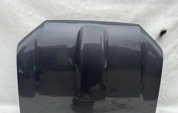 Toyota Land Cruiser (J200) Engine bonnet/hood